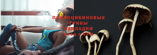 тгк Наволоки