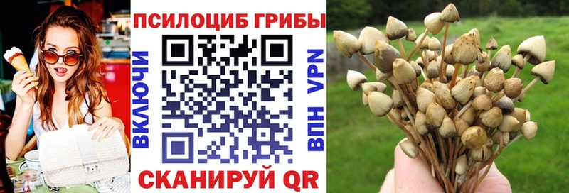 Псилоцибиновые грибы MAGIC MUSHROOMS  наркота  Углич 